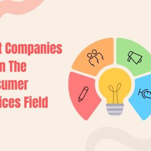 What companies are in the consumer services field